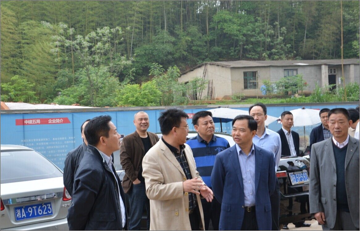 点击浏览大图