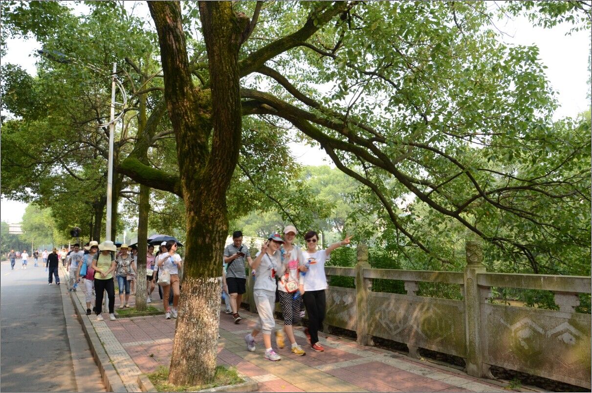 点击浏览大图