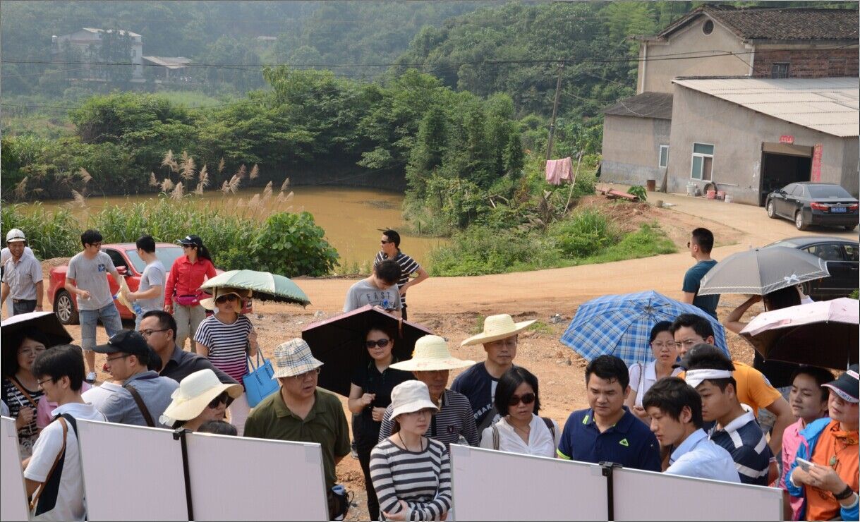 点击浏览大图