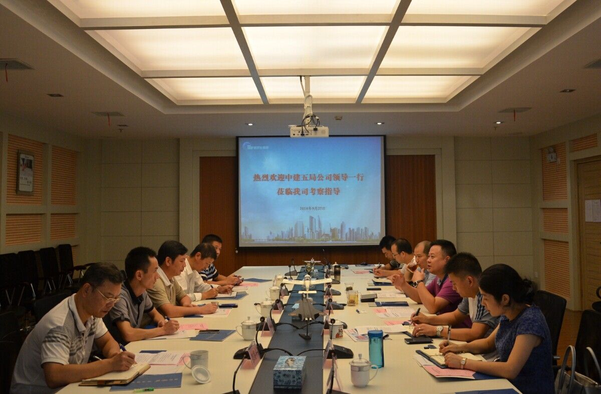 新芦淞集团组织研讨龙泉地块开发前期工作