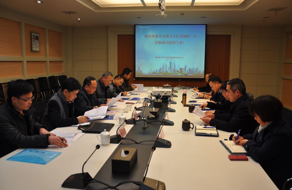 新芦淞集团迎来市文明建设红旗单位创建工作检查