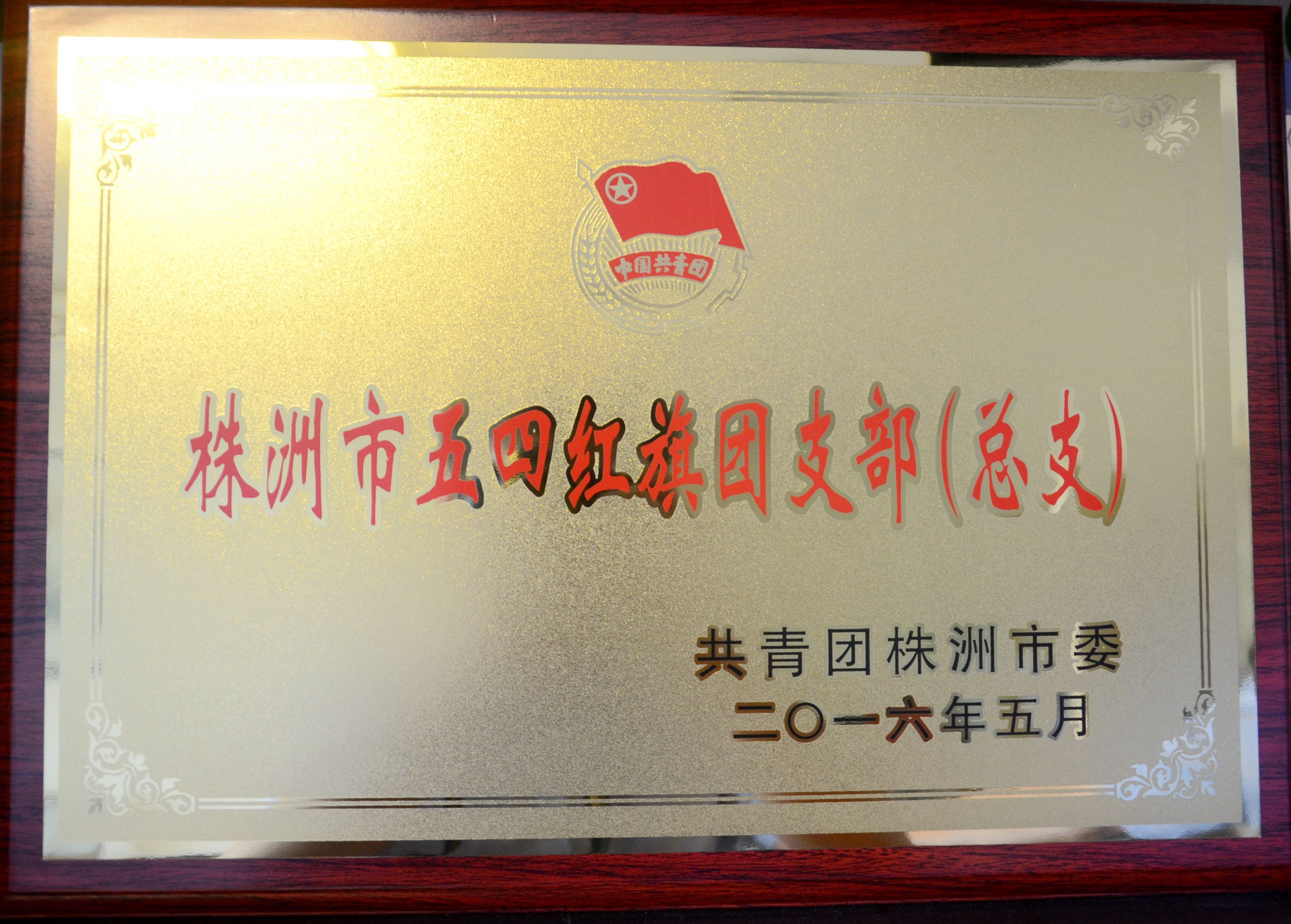 新芦淞集团团委第一团支部荣获“五四红旗团支部”称号