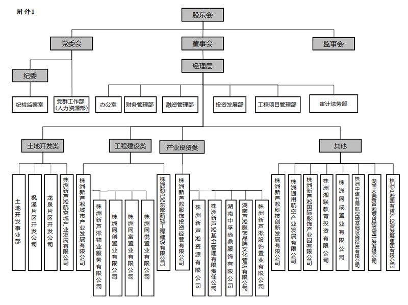 新芦淞集团组织架构