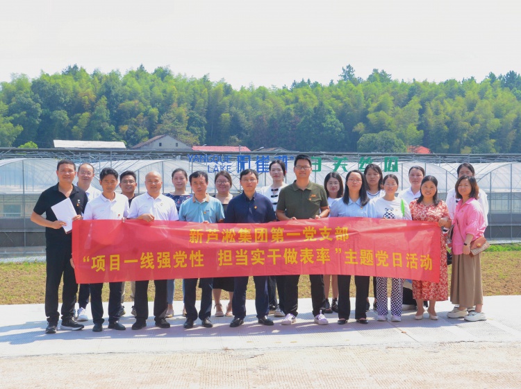 新芦淞集团第一党支部：将主题党日搬进项目一线，促进党建与业务深度融合